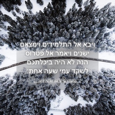 Picture 05 - הבשורה על־פי מתי 26:40 HEB - ויבא אל התלמידים וימצאם - Bible Verse Picture