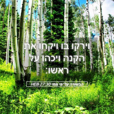 Picture 05 - הבשורה על־פי מתי 27:30 HEB - וירקו בו ויקחו את הקנה - Bible Verse Picture