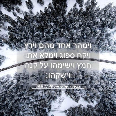 Picture 05 - הבשורה על־פי מתי 27:48 HEB - וימהר אחד מהם וירץ ויקח - Bible Verse Picture