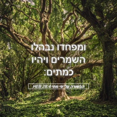 Picture 05 - הבשורה על־פי מתי 28:4 HEB - ומפחדו נבהלו השמרים ויהיו - Bible Verse Picture