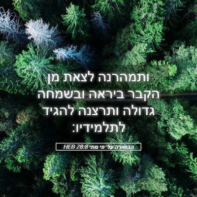 Picture 05 - הבשורה על־פי מתי 28:8 HEB - ותמהרנה לצאת מן הקבר ביראה - Bible Verse Picture