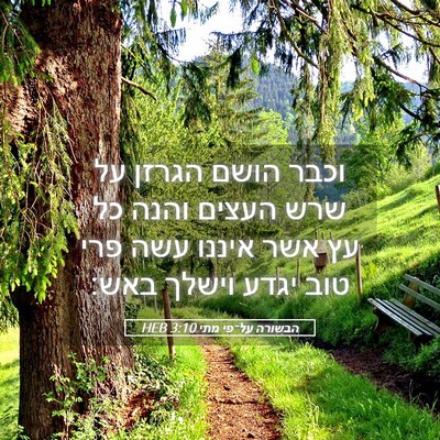 Picture 05 - הבשורה על־פי מתי 3:10 HEB - וכבר הושם הגרזן על שרש - Bible Verse Picture