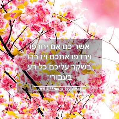 Picture 05 - הבשורה על־פי מתי 5:11 HEB - אשריכם אם יחרפו וירדפו - Bible Verse Picture
