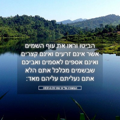 Picture 05 - הבשורה על־פי מתי 6:26 HEB - הביטו וראו את עוף השמים אשר - Bible Verse Picture