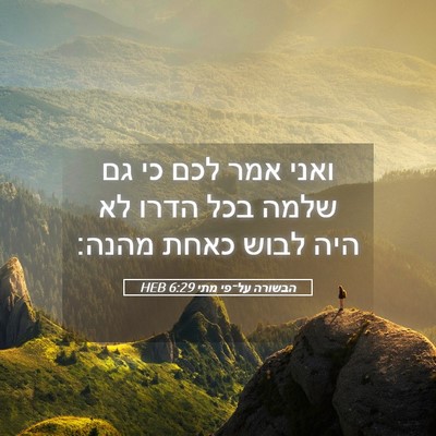 Picture 05 - הבשורה על־פי מתי 6:29 HEB - ואני אמר לכם כי גם שלמה בכל - Bible Verse Picture