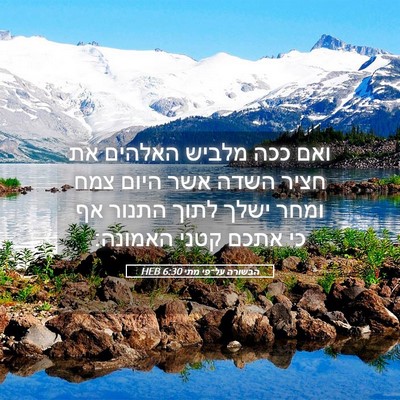 Picture 05 - הבשורה על־פי מתי 6:30 HEB - ואם ככה מלביש האלהים את - Bible Verse Picture