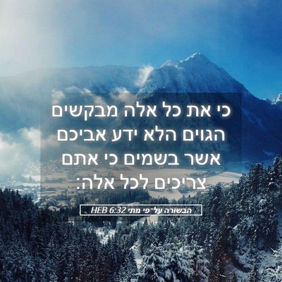 Picture 05 - הבשורה על־פי מתי 6:32 HEB - כי את כל אלה מבקשים הגוים - Bible Verse Picture