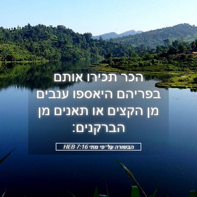 Picture 05 - הבשורה על־פי מתי 7:16 HEB - הכר תכירו אותם בפריהם - Bible Verse Picture