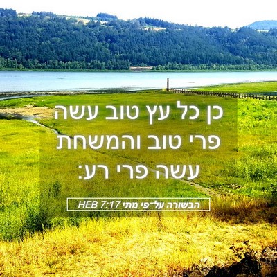 Picture 05 - הבשורה על־פי מתי 7:17 HEB - כן כל עץ טוב עשה פרי טוב - Bible Verse Picture