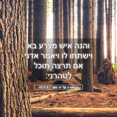 Picture 05 - הבשורה על־פי מתי 8:2 HEB - והנה איש מצרע בא וישתחו לו - Bible Verse Picture