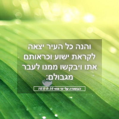Picture 05 - הבשורה על־פי מתי 8:34 HEB - והנה כל העיר יצאה לקראת - Bible Verse Picture