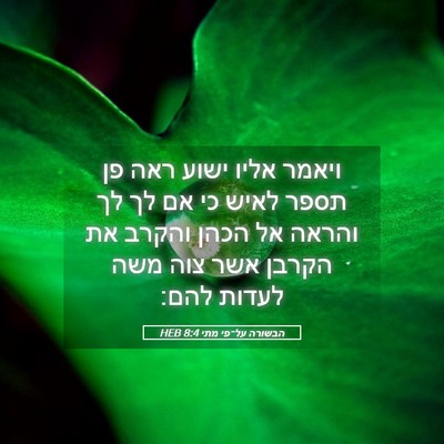 Picture 05 - הבשורה על־פי מתי 8:4 HEB - ויאמר אליו ישוע ראה פן תספר - Bible Verse Picture