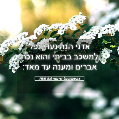 Picture 05 - הבשורה על־פי מתי 8:6 HEB - אדני הנה נערי נפל למשכב - Bible Verse Picture