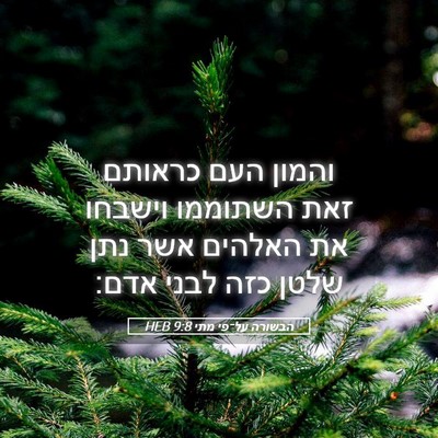 Picture 05 - הבשורה על־פי מתי 9:8 HEB - והמון העם כראותם זאת - Bible Verse Picture