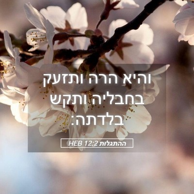 Picture 05 - ההתגלות 12:2 HEB - והיא הרה ותזעק בחבליה ותקש - Bible Verse Picture