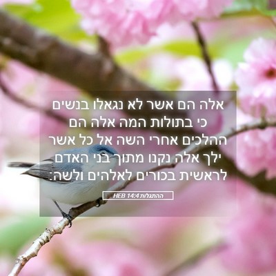 Picture 05 - ההתגלות 14:4 HEB - אלה הם אשר לא נגאלו בנשים - Bible Verse Picture