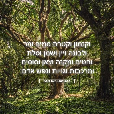 Picture 05 - ההתגלות 18:13 HEB - וקנמון וקטרת סמים ומר - Bible Verse Picture