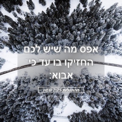 Picture 05 - ההתגלות 2:25 HEB - אפס מה שיש לכם החזיקו בו עד - Bible Verse Picture