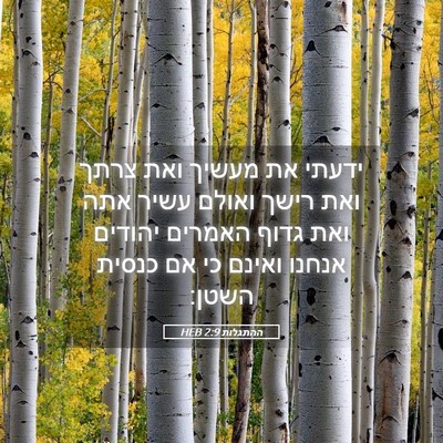 Picture 05 - ההתגלות 2:9 HEB - ידעתי את מעשיך ואת צרתך ואת - Bible Verse Picture