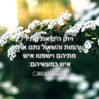 Picture 05 - ההתגלות 20:13 HEB - ויתן הים את מתיו והמות - Bible Verse Picture