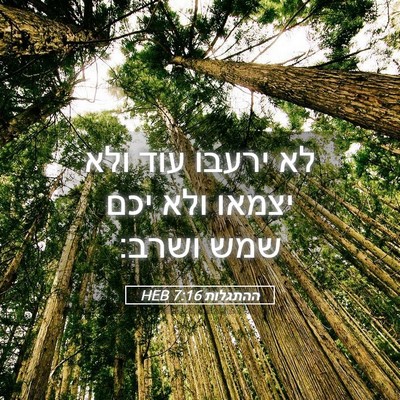 Picture 05 - ההתגלות 7:16 HEB - לא ירעבו עוד ולא יצמאו ולא - Bible Verse Picture