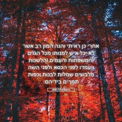 Picture 05 - ההתגלות 7:9 HEB - אחרי כן ראיתי והנה המון רב - Bible Verse Picture