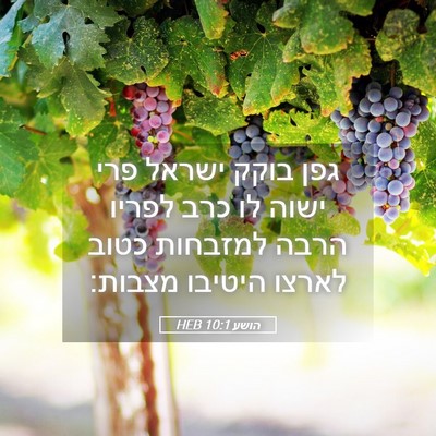 Picture 05 - הושע 10:1 HEB - גפן בוקק ישראל פרי ישוה לו - Bible Verse Picture