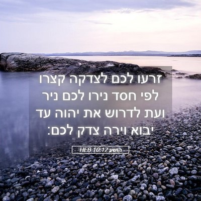Picture 05 - הושע 10:12 HEB - זרעו לכם לצדקה קצרו לפי חסד - Bible Verse Picture