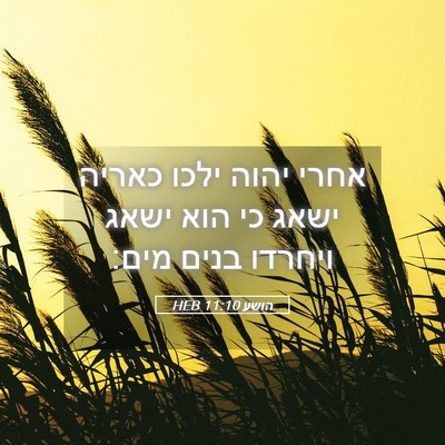Picture 05 - הושע 11:10 HEB - אחרי יהוה ילכו כאריה ישאג - Bible Verse Picture