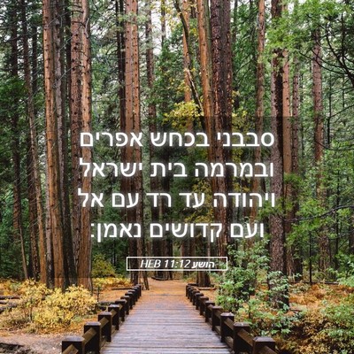 Picture 05 - הושע 11:12 HEB - סבבני בכחש אפרים ובמרמה - Bible Verse Picture