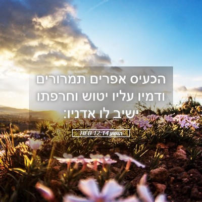 Picture 05 - הושע 12:14 HEB - הכעיס אפרים תמרורים ודמיו - Bible Verse Picture