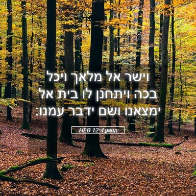 Picture 05 - הושע 12:4 HEB - וישר אל מלאך ויכל בכה - Bible Verse Picture