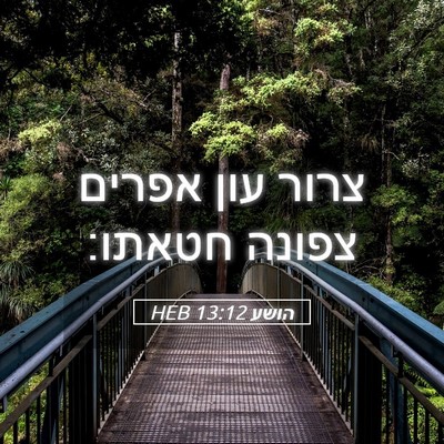 Picture 05 - הושע 13:12 HEB - צרור עון אפרים צפונה - Bible Verse Picture