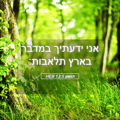 Picture 05 - הושע 13:5 HEB - אני ידעתיך במדבר בארץ - Bible Verse Picture