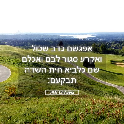 Picture 05 - הושע 13:8 HEB - אפגשם כדב שכול ואקרע סגור - Bible Verse Picture
