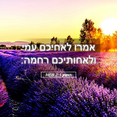 Picture 05 - הושע 2:1 HEB - אמרו לאחיכם עמי ולאחותיכם - Bible Verse Picture