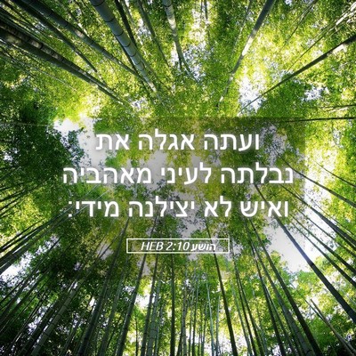 Picture 05 - הושע 2:10 HEB - ועתה אגלה את נבלתה לעיני - Bible Verse Picture