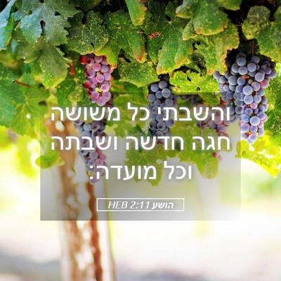 Picture 05 - הושע 2:11 HEB - והשבתי כל משושה חגה חדשה - Bible Verse Picture