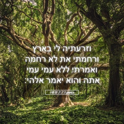 Picture 05 - הושע 2:23 HEB - וזרעתיה לי בארץ ורחמתי את - Bible Verse Picture