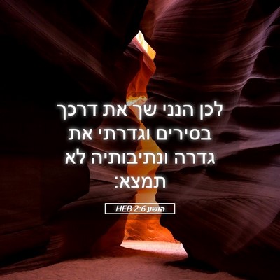 Picture 05 - הושע 2:6 HEB - לכן הנני שך את דרכך בסירים - Bible Verse Picture