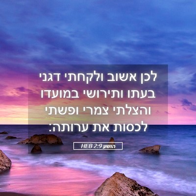 Picture 05 - הושע 2:9 HEB - לכן אשוב ולקחתי דגני בעתו - Bible Verse Picture