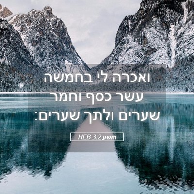 Picture 05 - הושע 3:2 HEB - ואכרה לי בחמשה עשר כסף וחמר - Bible Verse Picture