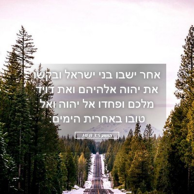 Picture 05 - הושע 3:5 HEB - אחר ישבו בני ישראל ובקשו את - Bible Verse Picture