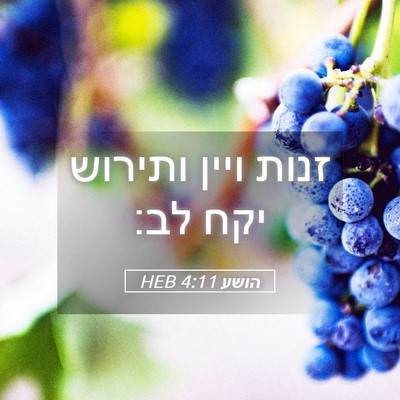 Picture 05 - הושע 4:11 HEB - זנות ויין ותירוש יקח - Bible Verse Picture