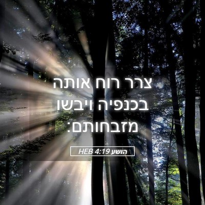 Picture 05 - הושע 4:19 HEB - צרר רוח אותה בכנפיה ויבשו - Bible Verse Picture