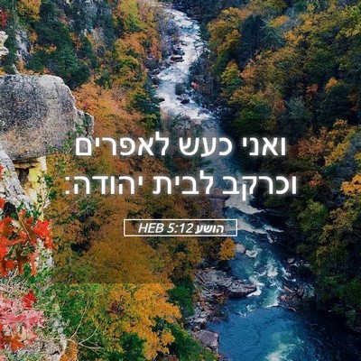 Picture 05 - הושע 5:12 HEB - ואני כעש לאפרים וכרקב לבית - Bible Verse Picture