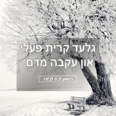 Picture 05 - הושע 6:8 HEB - גלעד קרית פעלי און עקבה - Bible Verse Picture