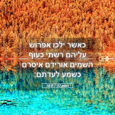 Picture 05 - הושע 7:12 HEB - כאשר ילכו אפרוש עליהם רשתי - Bible Verse Picture