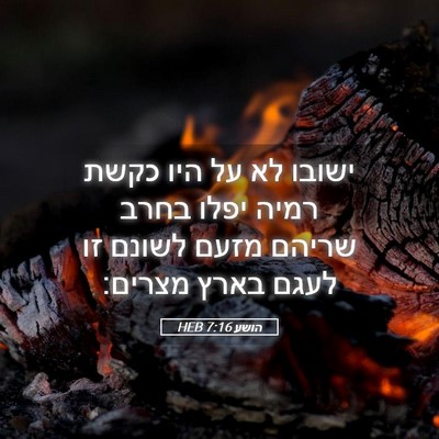 Picture 05 - הושע 7:16 HEB - ישובו לא על היו כקשת רמיה - Bible Verse Picture