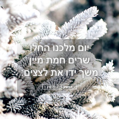 Picture 05 - הושע 7:5 HEB - יום מלכנו החלו שרים חמת - Bible Verse Picture